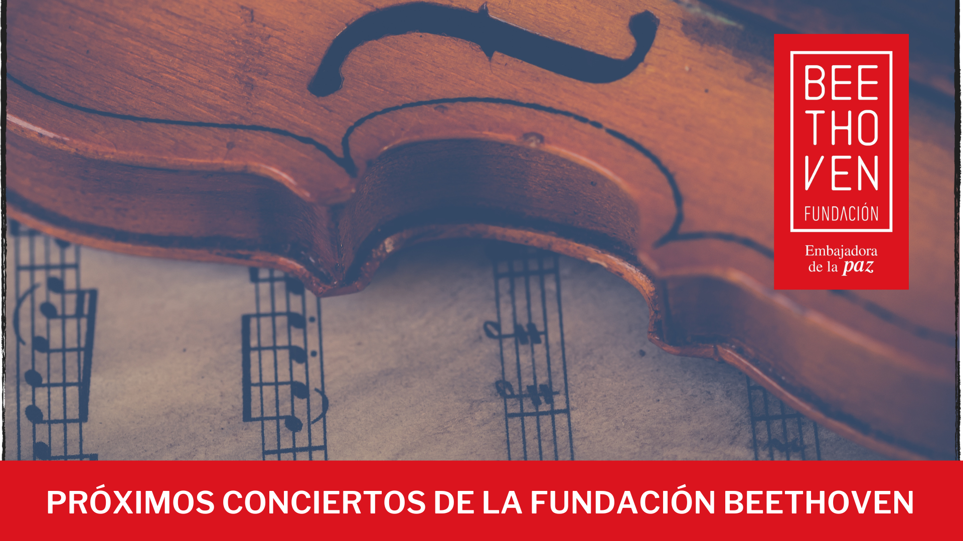 Próximos conciertos de la Fundación Beethoven